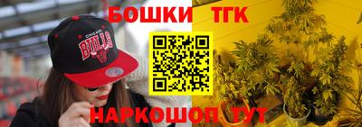 спиды Дубна