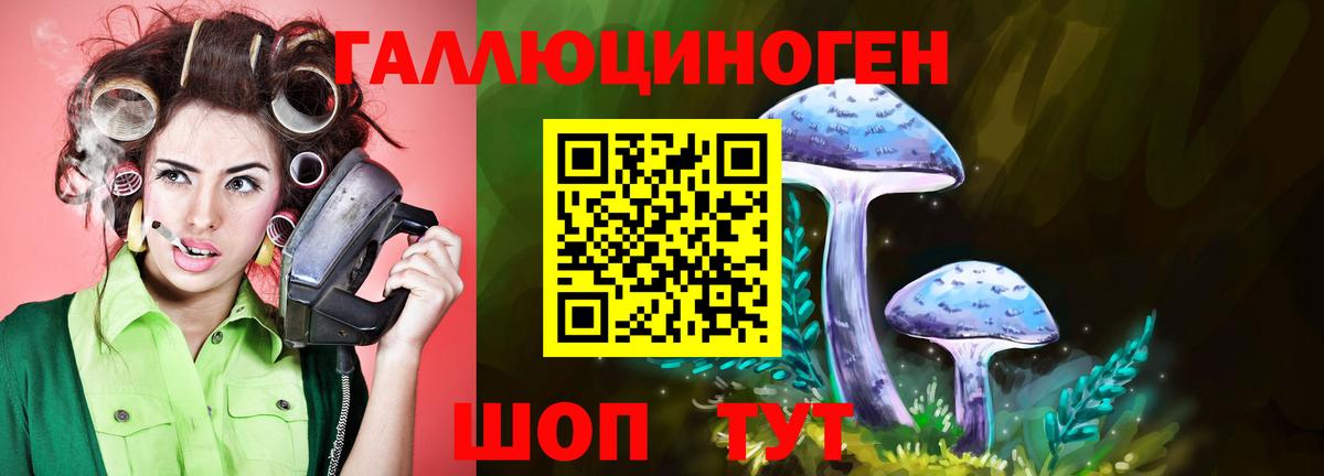 Псилоцибиновые грибы Cubensis  наркота  Можайск  Вход с VPN 